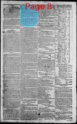 Page thumbnail for Norfolk Gazette And Publick Ledger