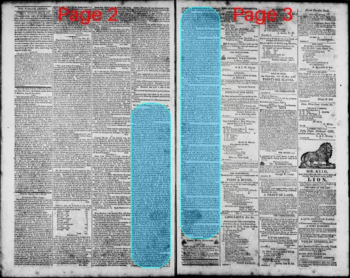 Page thumbnail for Norfolk Gazette And Publick Ledger