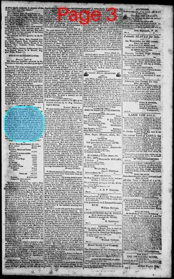 Page thumbnail for Norfolk Gazette And Publick Ledger