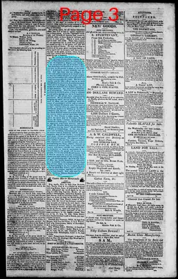Page thumbnail for Norfolk Gazette And Publick Ledger