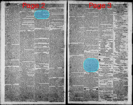 Page thumbnail for Norfolk Gazette And Publick Ledger