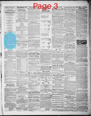 Page thumbnail for Fremont Journal