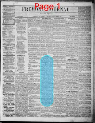 Page thumbnail for Fremont Journal
