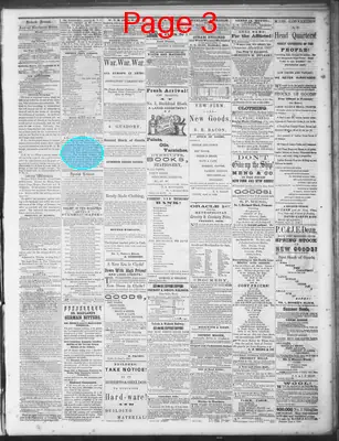 Page thumbnail for Fremont Journal
