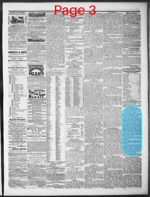 Page thumbnail for Fremont Journal