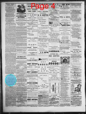 Page thumbnail for Fremont Journal
