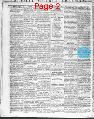 Page thumbnail for Fremont Weekly Freeman