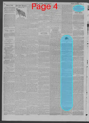 Page thumbnail for New York Dispatch