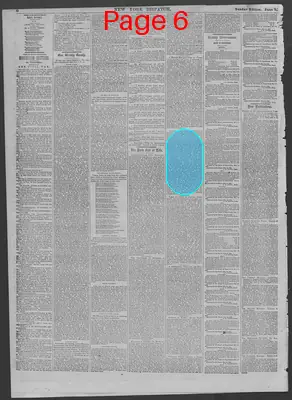 Page thumbnail for New York Dispatch