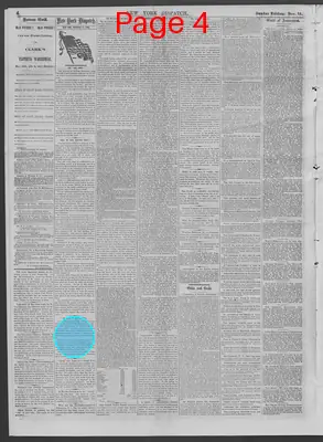 Page thumbnail for New York Dispatch