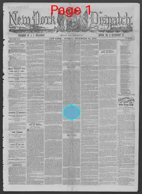 Page thumbnail for New York Dispatch
