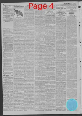 Page thumbnail for New York Dispatch