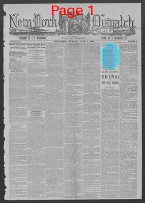 Page thumbnail for New York Dispatch