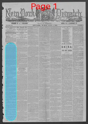 Page thumbnail for New York Dispatch