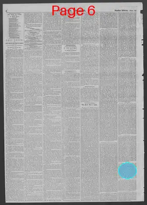 Page thumbnail for New York Dispatch