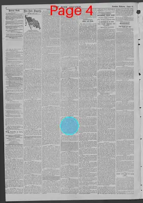Page thumbnail for New York Dispatch