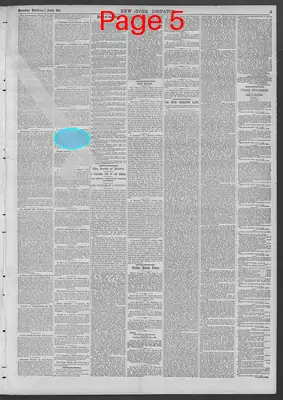 Page thumbnail for New York Dispatch