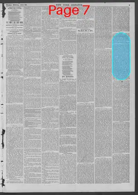 Page thumbnail for New York Dispatch