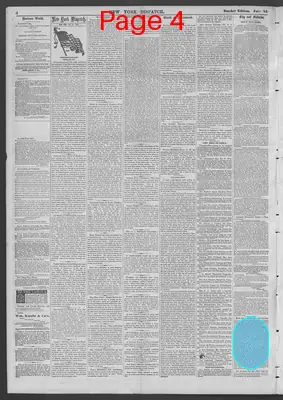Page thumbnail for New York Dispatch