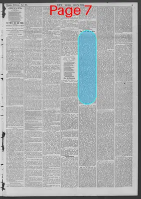 Page thumbnail for New York Dispatch