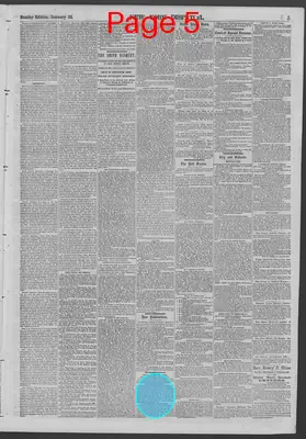 Page thumbnail for New York Dispatch