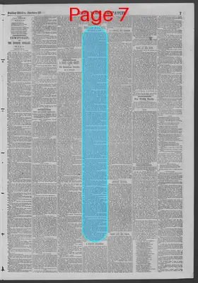 Page thumbnail for New York Dispatch