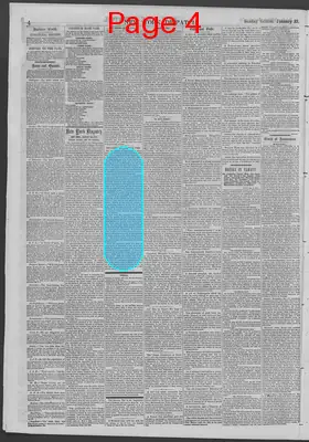 Page thumbnail for New York Dispatch