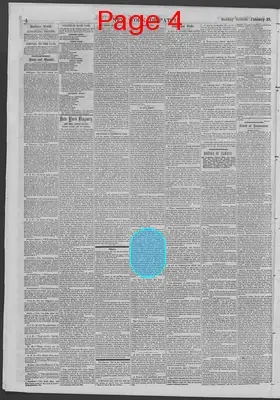 Page thumbnail for New York Dispatch