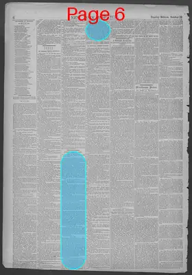 Page thumbnail for New York Dispatch