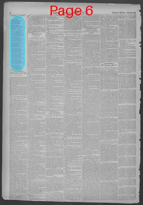 Page thumbnail for New York Dispatch