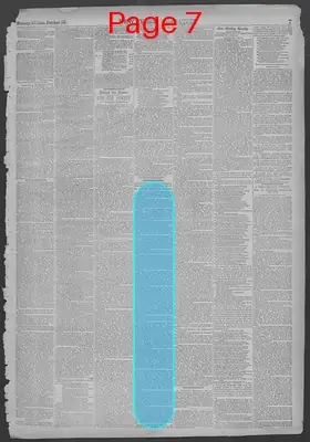 Page thumbnail for New York Dispatch