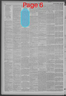 Page thumbnail for New York Dispatch