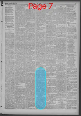 Page thumbnail for New York Dispatch