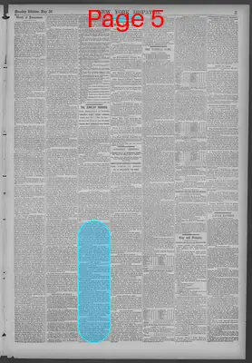 Page thumbnail for New York Dispatch
