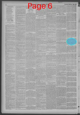 Page thumbnail for New York Dispatch