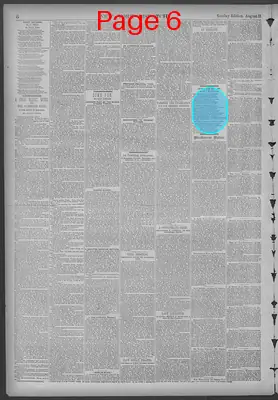 Page thumbnail for New York Dispatch