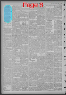 Page thumbnail for New York Dispatch
