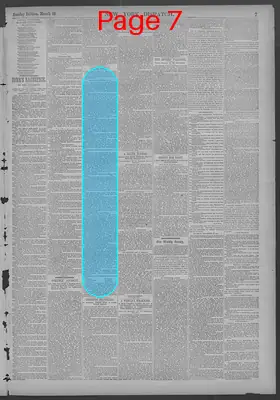 Page thumbnail for New York Dispatch