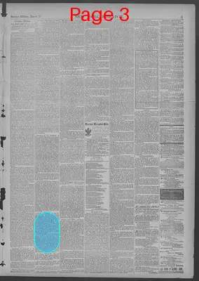 Page thumbnail for New York Dispatch