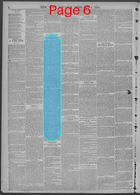 Page thumbnail for New York Dispatch