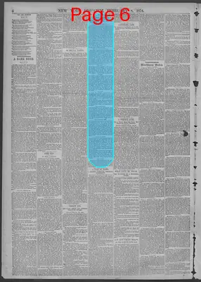 Page thumbnail for New York Dispatch