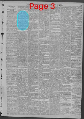 Page thumbnail for New York Dispatch