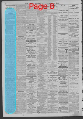 Page thumbnail for New York Dispatch