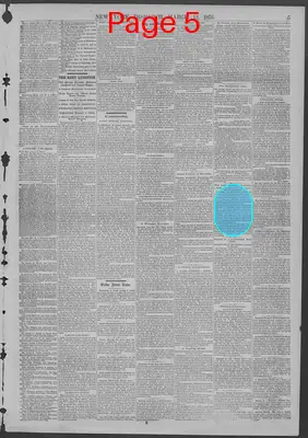 Page thumbnail for New York Dispatch