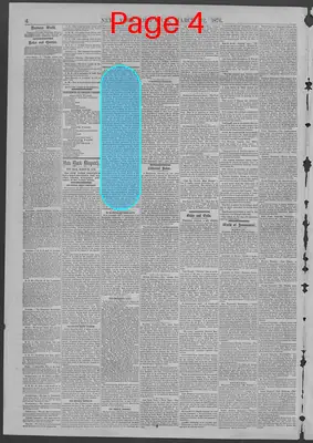 Page thumbnail for New York Dispatch