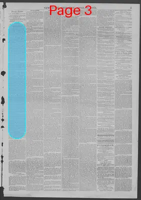 Page thumbnail for New York Dispatch
