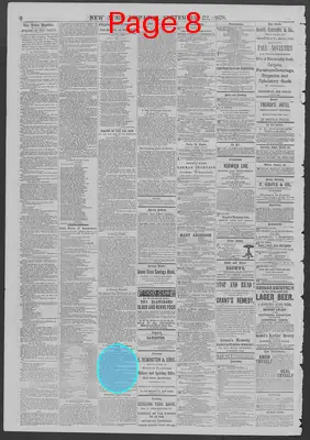 Page thumbnail for New York Dispatch