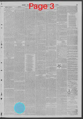 Page thumbnail for New York Dispatch