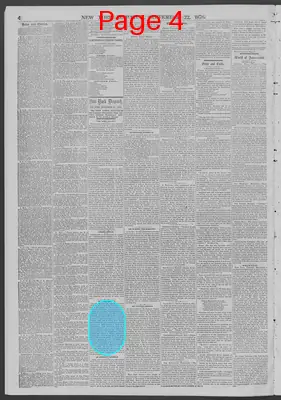 Page thumbnail for New York Dispatch