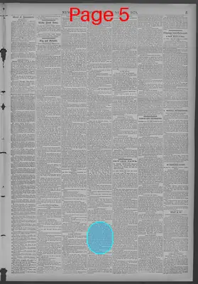 Page thumbnail for New York Dispatch